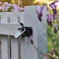 cadenas