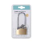 Cadenas 50mmx110mm avec 3 cles SD