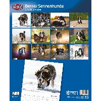 calendrier-bloc-ephemeride