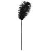 Caresser Longue plume sur tige - noir