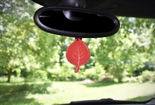 Desodorisant Auto - Parfum Auto CARLinea Air nature 2D fraise