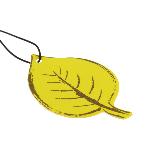 Desodorisant Auto - Parfum Auto CARLinea Air nature 2D vanille