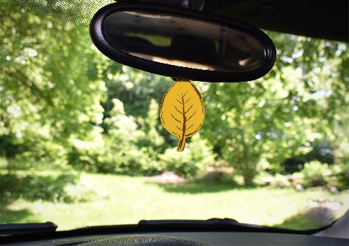 Desodorisant Auto - Parfum Auto CARLinea Air nature 2D vanille