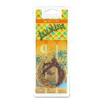 Desodorisant Auto - Parfum Auto CARLinea collier vanille