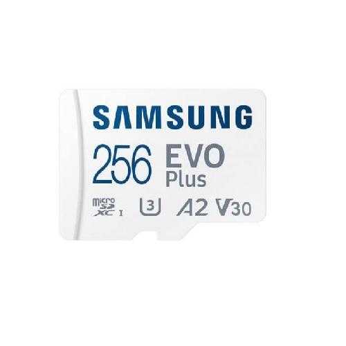 Carte Memoire - Memoire Flash Carte Memoire SAMSUNG 256Go MicroSD EVO PLUS