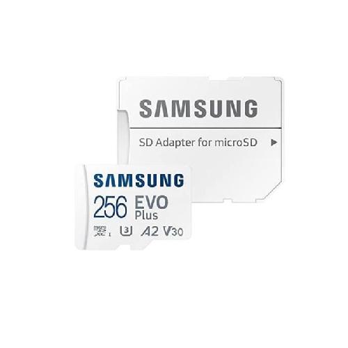 Carte Memoire - Memoire Flash Carte Memoire SAMSUNG 256Go MicroSD EVO PLUS