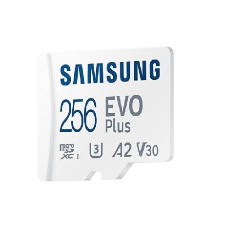 Carte Memoire - Memoire Flash Carte Memoire SAMSUNG 256Go MicroSD EVO PLUS