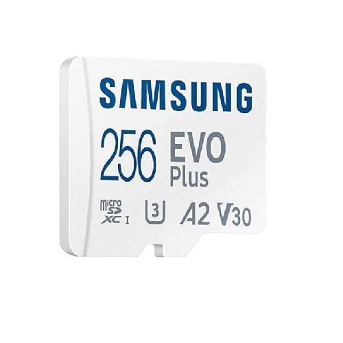 Carte Memoire - Memoire Flash Carte Memoire SAMSUNG 256Go MicroSD EVO PLUS