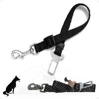 ceinture-de-securite ceinture-de-securite