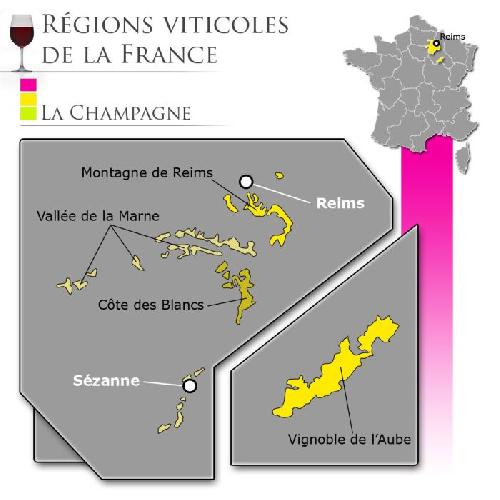 Champagne Champagne Canard Duchene Charles VII Blanc de Noirs Brut - 75 cl