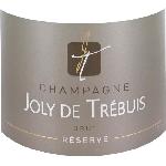 Champagne Champagne Joly de Trébuis 75 cl