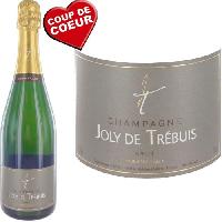 Champagne - Petillant - Mousseux Champagne Joly de Trébuis 75 cl