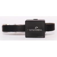 chasse-pistage-reperage