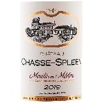 Vin Rouge Château Chasse-Spleen 2019 Moulis en Médoc - Vin rouge de Bordeaux