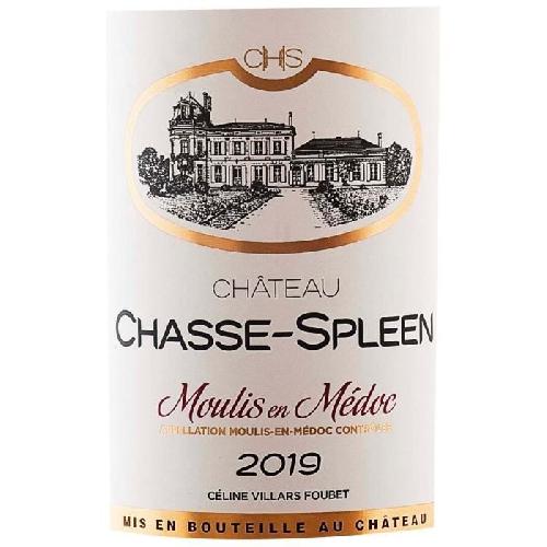 Vin Rouge Château Chasse-Spleen 2019 Moulis en Médoc - Vin rouge de Bordeaux