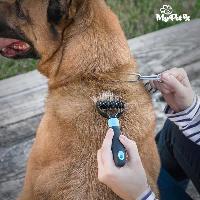 ciseaux-coupe-noeuds ciseaux-coupe-noeuds