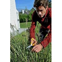 ciseaux-de-jardin ciseaux-de-jardin