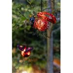 Balise - Borne Solaire Coccinelle solaire clipsable - GALIX - Luminaires solaires - Metal-verre - 2 Lumens - 8h d'eclairage