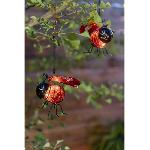 Balise - Borne Solaire Coccinelle solaire clipsable - GALIX - Luminaires solaires - Metal-verre - 2 Lumens - 8h d'eclairage