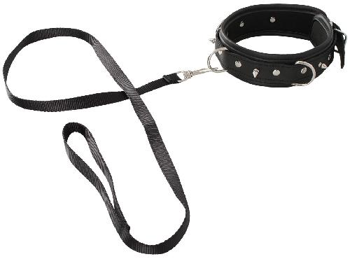 Attacher Collier et Laisse Vegan