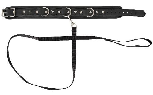 Attacher Collier et Laisse Vegan