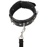 Attacher Collier et Laisse Vegan