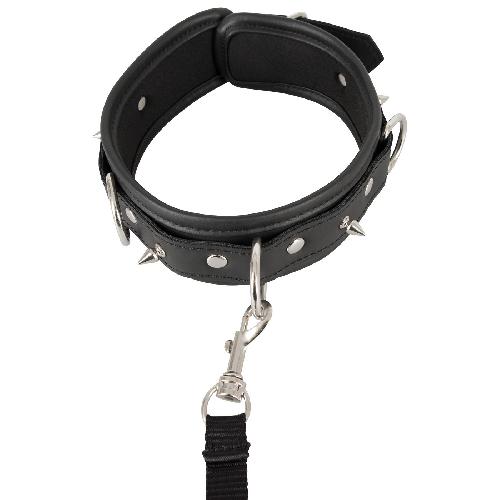 Attacher Collier et Laisse Vegan