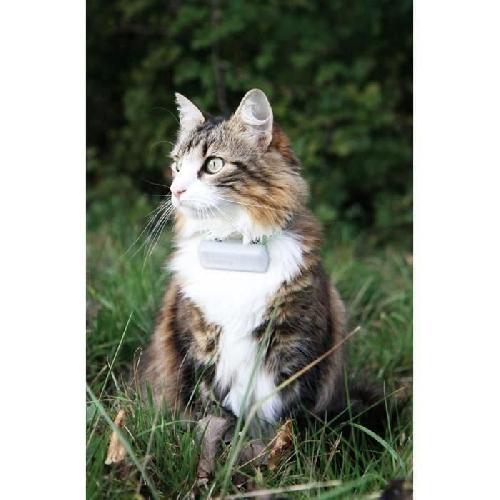 Kit Securite - Protection Collier GPS pour chat ? Weenect Cats 2 - Suivi GPS en temps reel. Sans limite de distance. Plus petit modele du marche