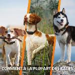 Chasse - Pistage - Reperage Collier GPS pour chien - WEENECT Chien XT - Antenne XL - Etanche - Collier Julius-K9 - Fonctionne avec abonnement - Orange