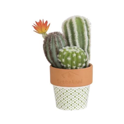 Fleur-plante Artificielle - Fleur Sechee Composition de Cactus fleuri - En pot ethnique vert