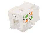 Cable - Connectique Pour Peripherique Connecteur RJ45 femelle Cat.5e - Blanc
