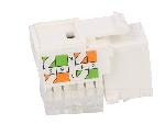 Cable - Connectique Pour Peripherique Connecteur RJ45 femelle Cat.5e - Blanc