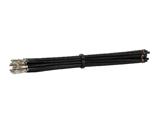 Fiche ISO Universelles Connecteur Terminal Molex Micro Fit -f- avec fil noir de 10 cm