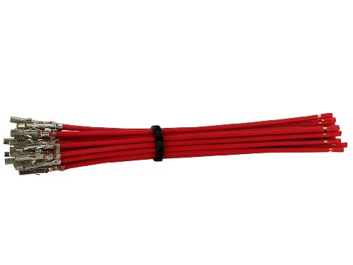 Fiche ISO Universelles Connecteur terminal Molex Mini Fit-f- avec cable de 10 cm rouge