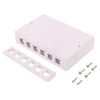 Connectique - Alimentation Boitier mural RJ45 femelle X6 Keystone - blanc