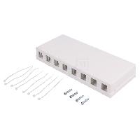 Connectique - Alimentation Boitier mural RJ45 femelle X8 Keystone - blanc