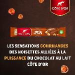 COTE D'OR Baton Chocolat au Lait et Noisettes entieres - Barres chocolatees Cacao 100 durable - Presentoir de 32 barres x 45 g