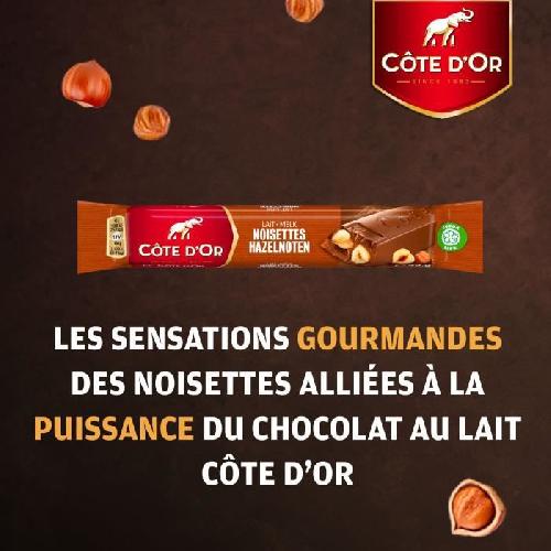 COTE D'OR Baton Chocolat au Lait et Noisettes entieres - Barres chocolatees Cacao 100 durable - Presentoir de 32 barres x 45 g