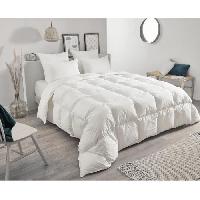 Couette Couette - TOISON D'OR - Daisy chaude - 220x240cm - Plumette et duvet