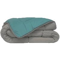 Couette POYET MOTTE Couette Microfibre 400g/m² CALGARY - 140 x 200 cm - Gris galet et Vert lac