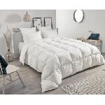 Couette Couette - TOISON D'OR - Daisy - Chaude - 240x260cm - Plumette et duvet