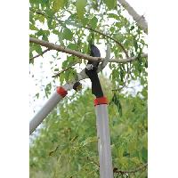 coupe-branche coupe-branche