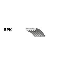 courroie-trapezoidale-a-nervures-courroie-d-accessoires-kit-courroie-d-accessoires