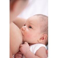 creme-soin-mamelon creme-soin-mamelon