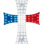 Croix lumineuse France 24V 81 Leds H25 l20