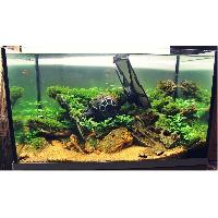 decoration-de-l-habitat