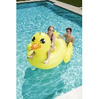 decoration-piscine-objet-deco-pour-piscine