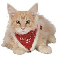 deguisement deguisement