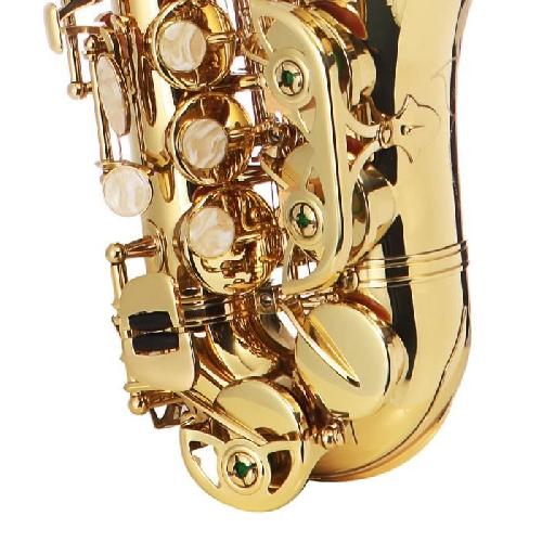 DELSON Saxophone soprano courbe