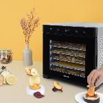 Deshydrateur D Aliments Deshydrateur HKoeNIG - DSY900 - Temperature de 35oC a 70oC - Minuterie integree - 650W